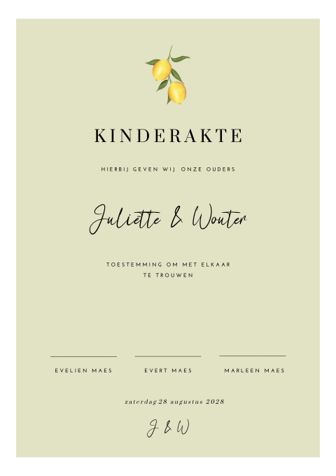 Stijlvolle kinderakte met citroenen