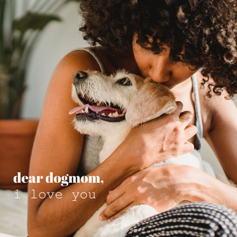 Wenskaart dogmom met foto