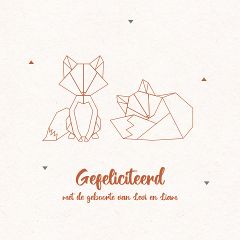 Felicitatiekaart voor een tweeling met schattige vosjes
