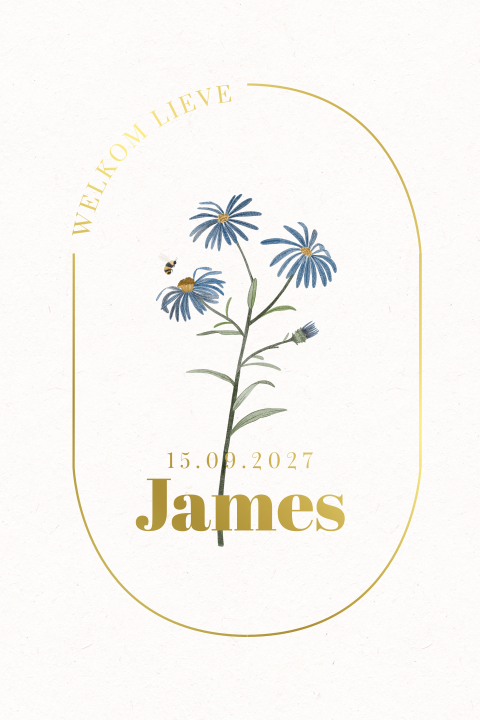 Geboortekaartje jongen met geboortebloem van september en goudfolie