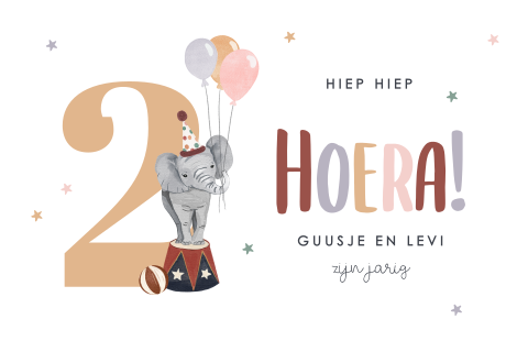 Vrolijke uitnodiging verjaardag tweeling
