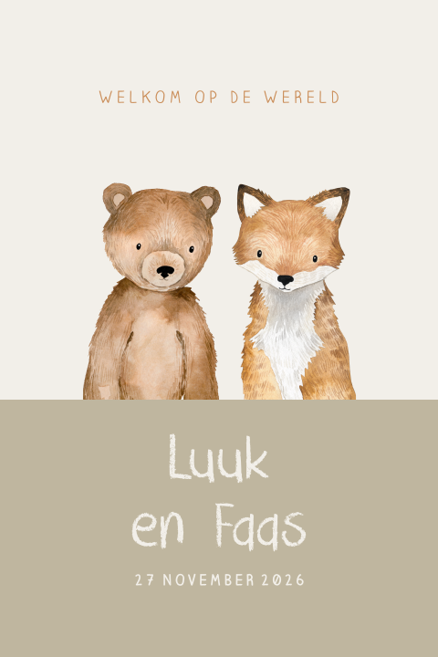 Schattig geboortekaartje tweeling met beertje en vosje