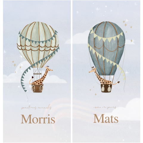 Geboortekaart tweeling jongens met luchtballonnen