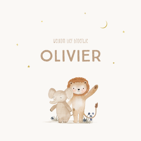 Lief geboortekaartje broertje met olifantje, leeuwtje en goudfolie