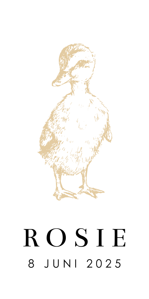 Doopsuiker label met eendje | 10 stuks