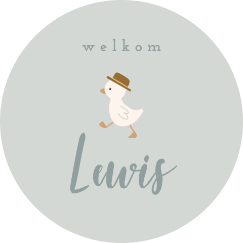 Geboorte raamsticker met eendje voor jongen