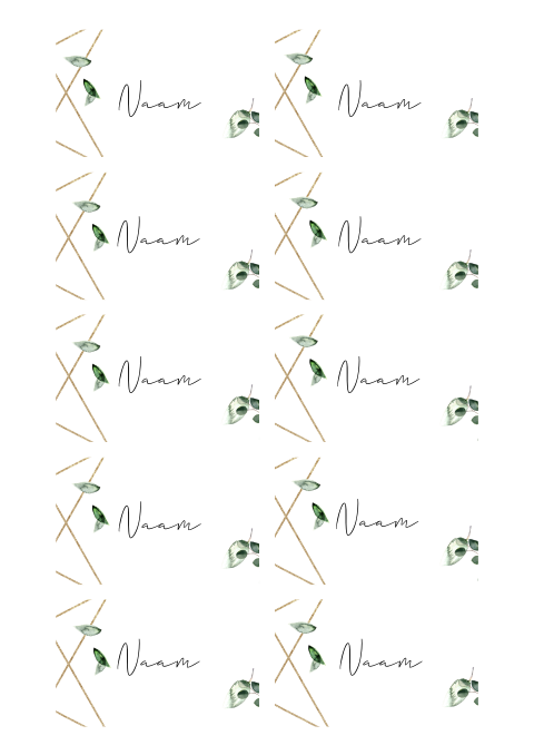 Naamkaartjes bruiloft met eucalyptus en geometrisch design
