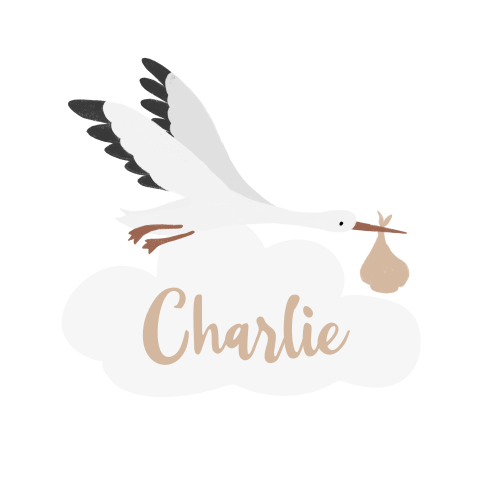 Raamsticker geboorte neutraal met ooievaar