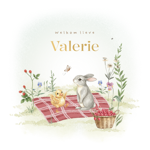 Geboortekaartje meisje met lieve diertjes op picknickkleed en mat goudfolie