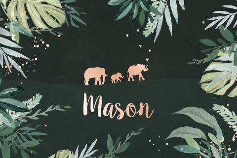 Geboortekaartje jongen botanisch met olifantenfamilie
