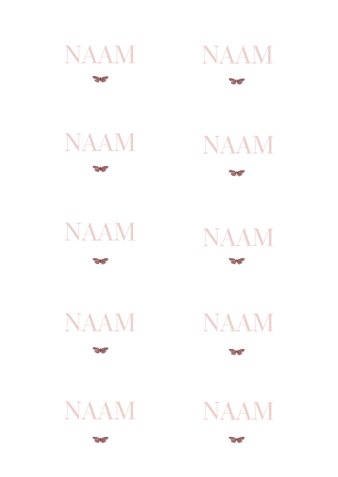 Stijlvolle naamkaartjes met vlindertje