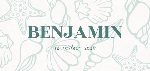 Geboortekaartje met schelpen in groen tinten