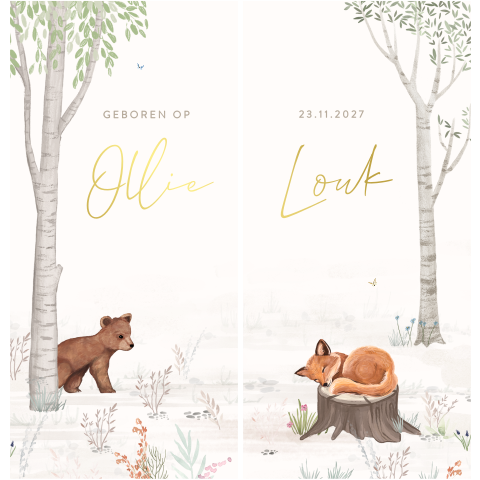 Lief geboortekaartje tweeling met beertje en vosje