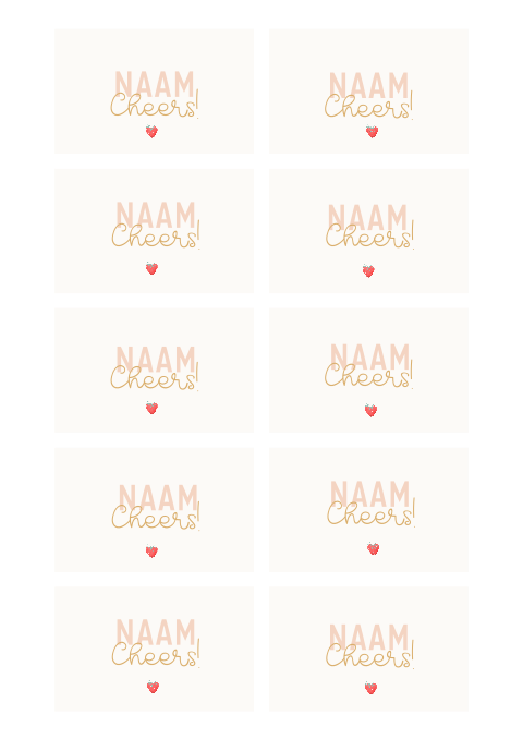 Naamkaartjes 21 diner aardbeitje