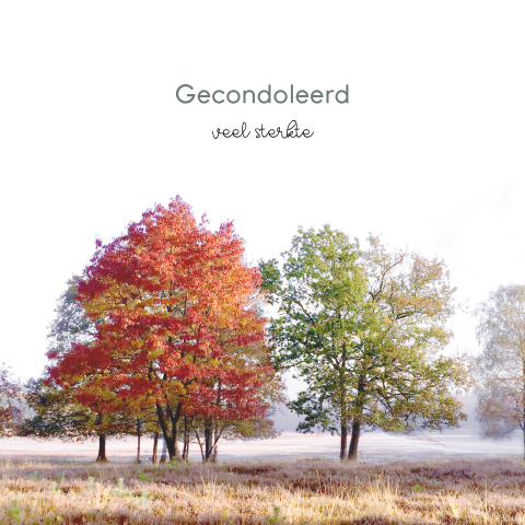 Wenskaart condoleance met natuurfoto herfst
