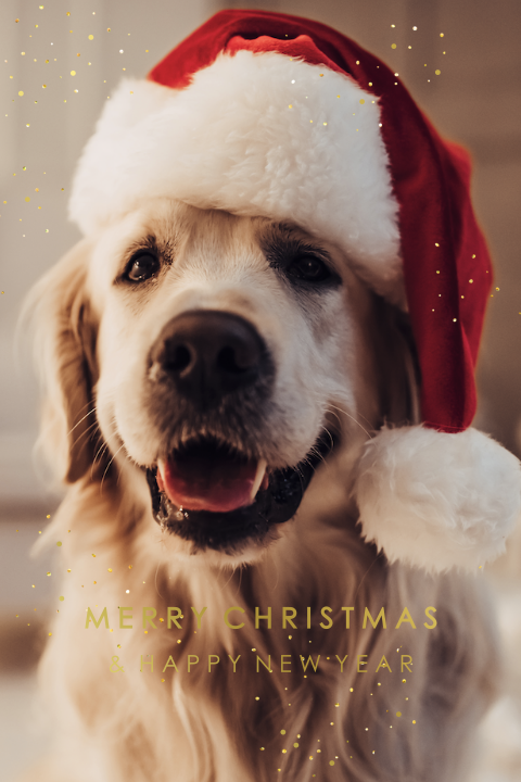 Kerstkaart persoonlijke foto en spetters