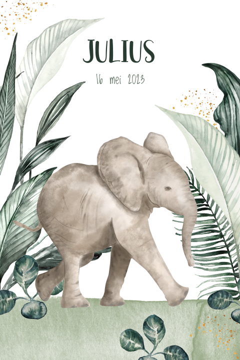Geboortekaartje dieren jungle