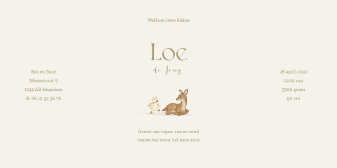 Lente geboortekaartje met theatervouw, dieren in het bos en goudfolie