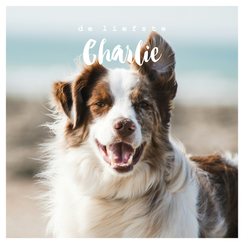 Vierkante poster met kader en persoonlijke foto