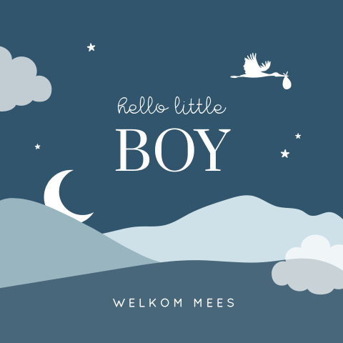 Felicitatiekaart geboorte zoon met ooievaar