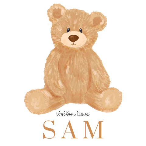 Raamsticker geboorte in unieke vorm met schattige teddybeer