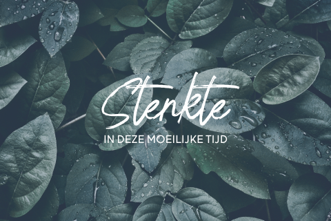 Wenskaart sterkte bij overlijden