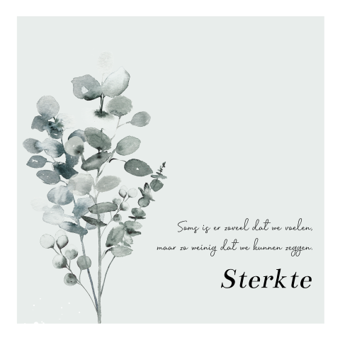 Condoleancekaart met watercolour eucalyptus en wit kader