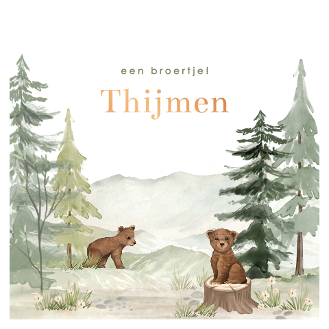 Geboortekaartje met beren in het bos voor jongen