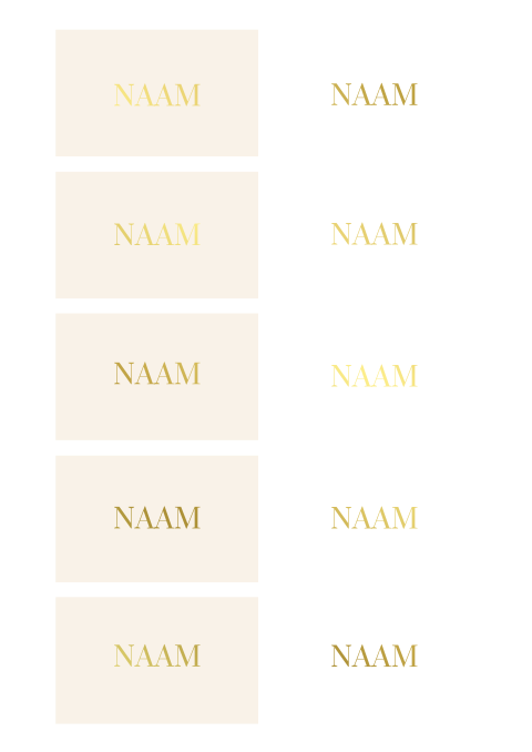 Naamkaartjes minimalistisch met goudfolie