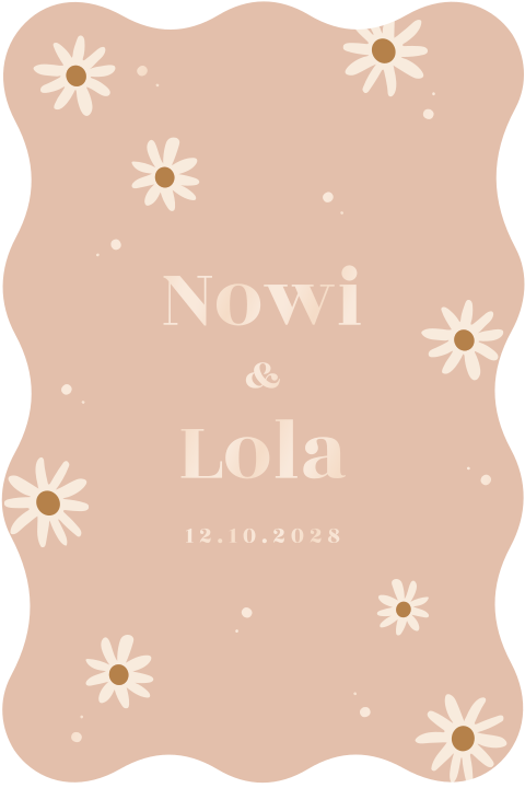 Lief geboortekaartje voor tweeling met madeliefjes