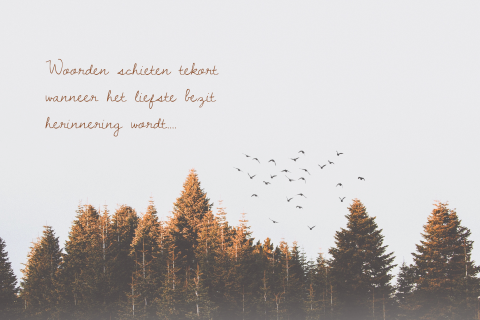 Condoleance wenskaart met bomen en vogels