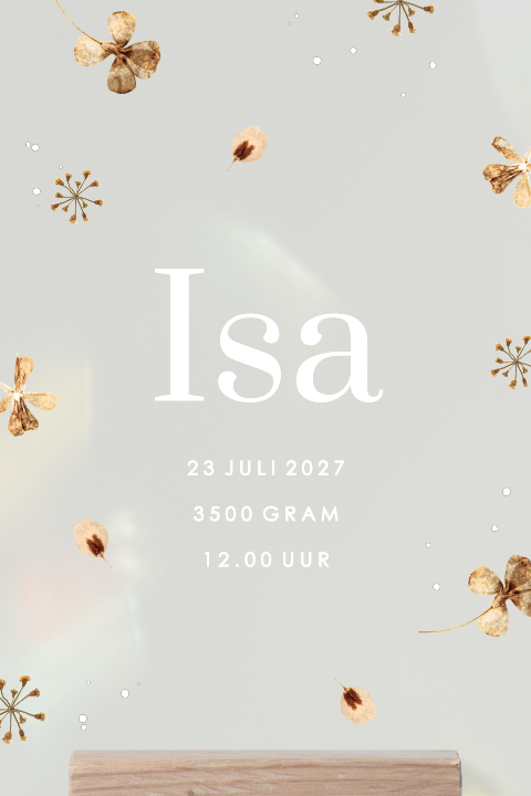 Plexiglas poster met droogbloemen en houten houder