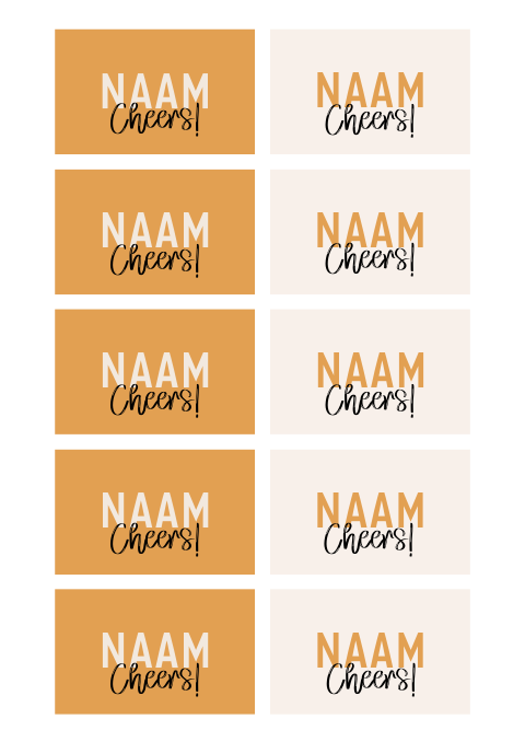 Naamkaartjes verjaardag Cheers in oranje tinten