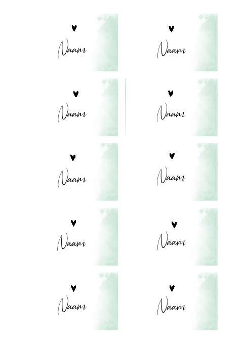 Naamkaartjes 21 diner mintgroen