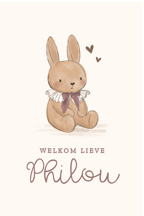 Geboorte raambord klassiek in beige met lief konijntje