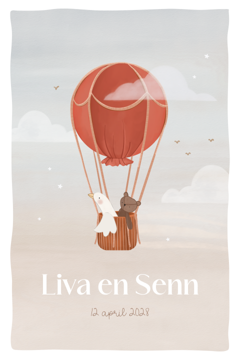 Tweeling geboortekaartje met luchtballon en diertjes