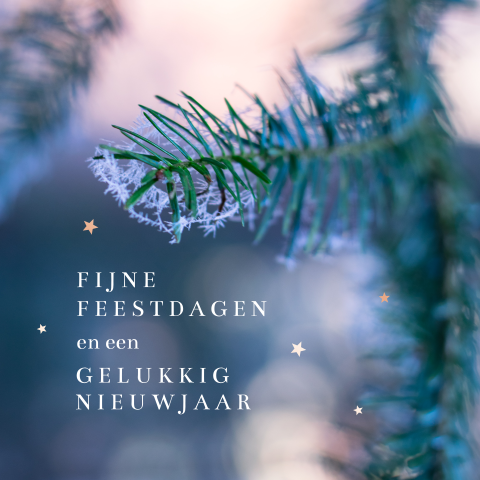 Zakelijke fotokaart met wintersfeer