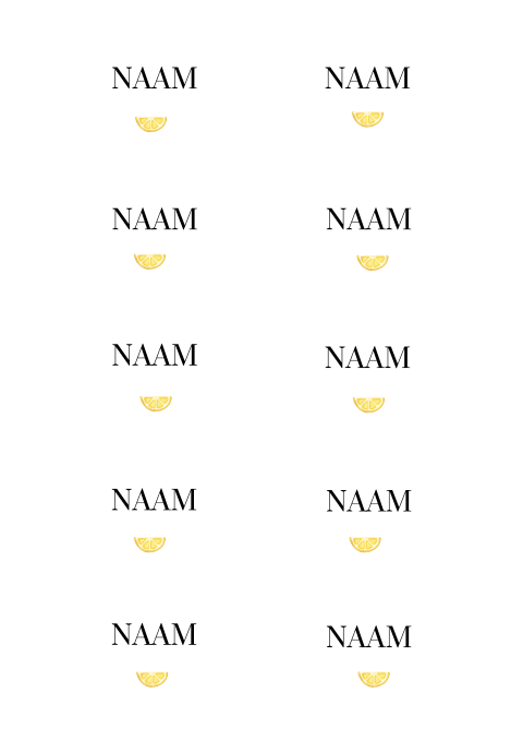 Naamkaartjes citroen 21 diner 