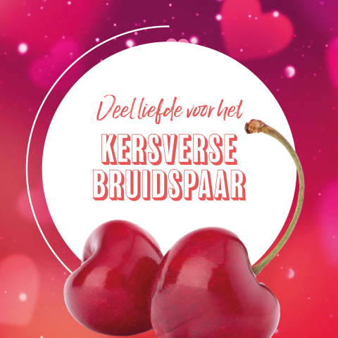 Wenskaart Hutten kersverse bruidspaar