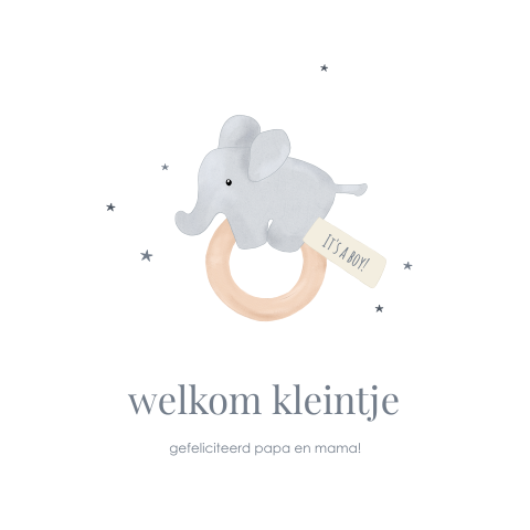Wenskaart geboorte jongen bijtring