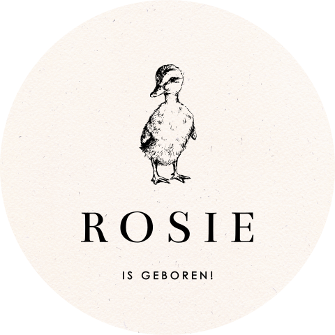 Raamsticker geboorte met schattig eendje