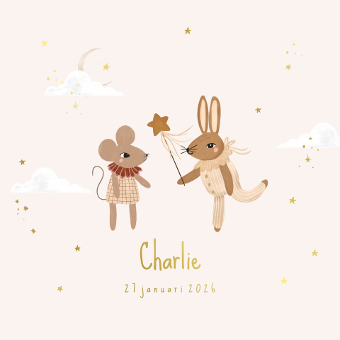 Dromerig geboortekaartje meisje met goudfolie