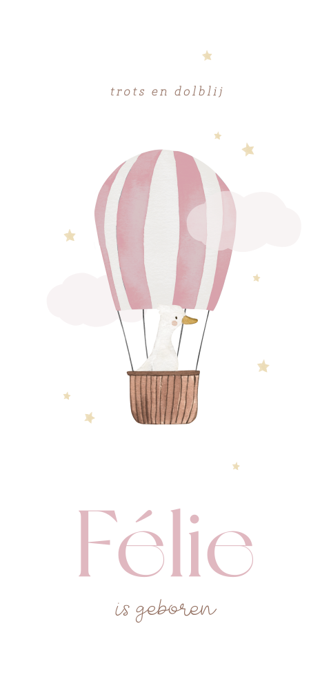 Geboortekaartje voor meisje met luchtballon en lief gansje