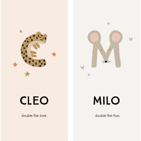 Vrolijke geboortekaart voor tweeling met dierenletters