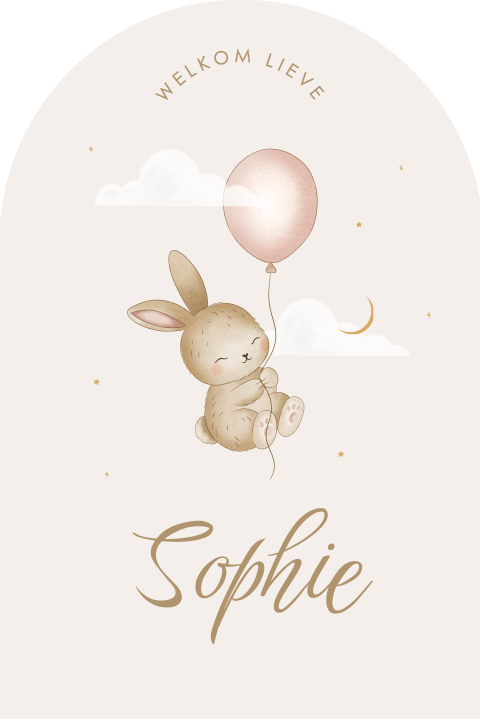 Boogvorm raambord in zacht beige met lief konijntje