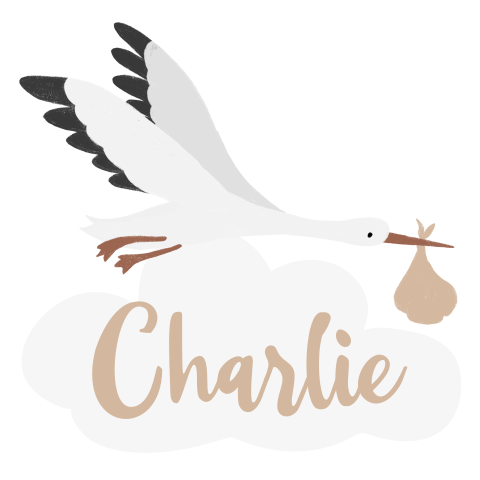 Raamsticker geboorte neutraal in unieke vorm met ooievaar