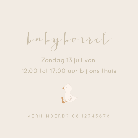 Klein kraamborrelkaartje met eendje