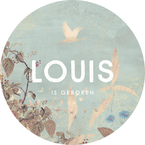 Raamsticker geboorte van Poespas met Morning Bird