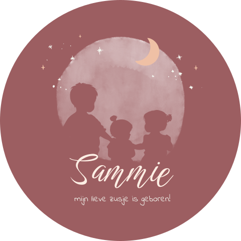 Lieve raamsticker rond in roze met silhouetjes en maan