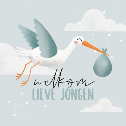 Wenskaart ooievaar geboorte jongen